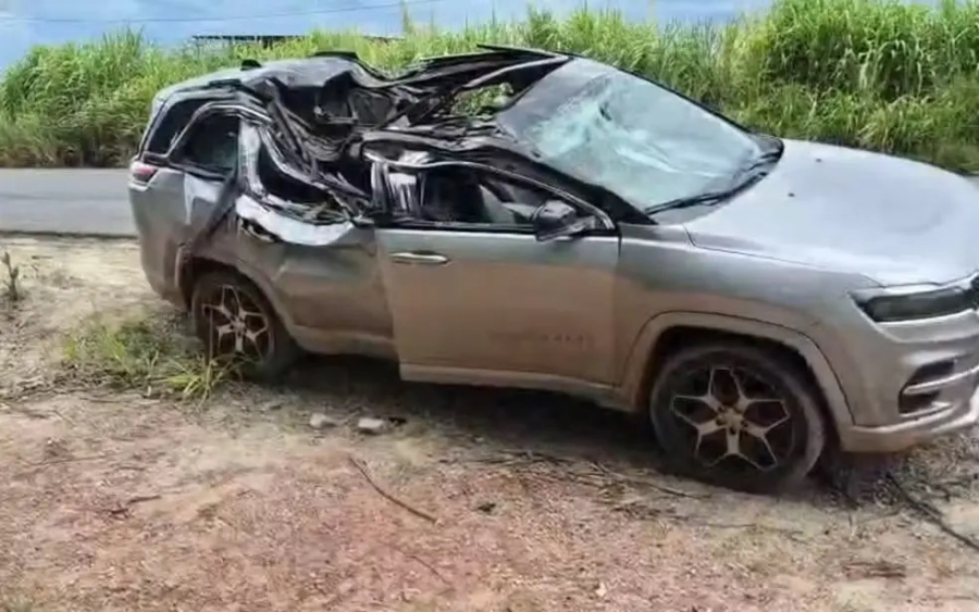 Árvore de eucalipto cai sobre carro e mata bebê de 1 ano no Carnaval