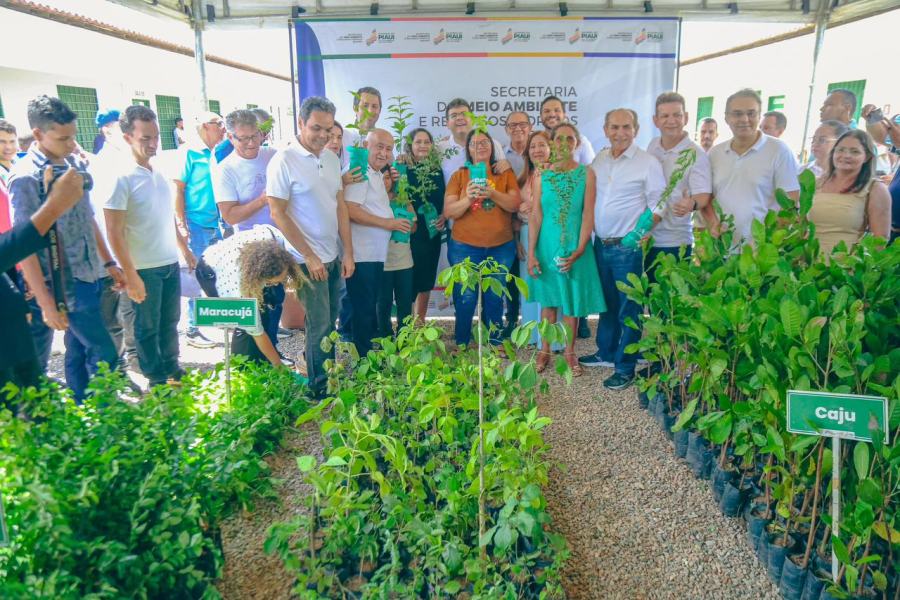 Semarh distribui 12 mil mudas frutíferas e nativas para ampliar arborização em três cidades do interior do Piauí