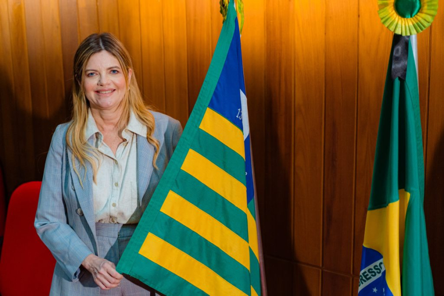 Os senadores da oposição no PI