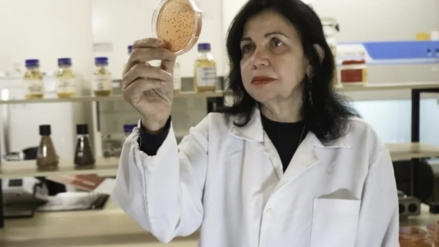 Cientista brasileira entra na lista dos 100 mais influentes do mundo da revista Time