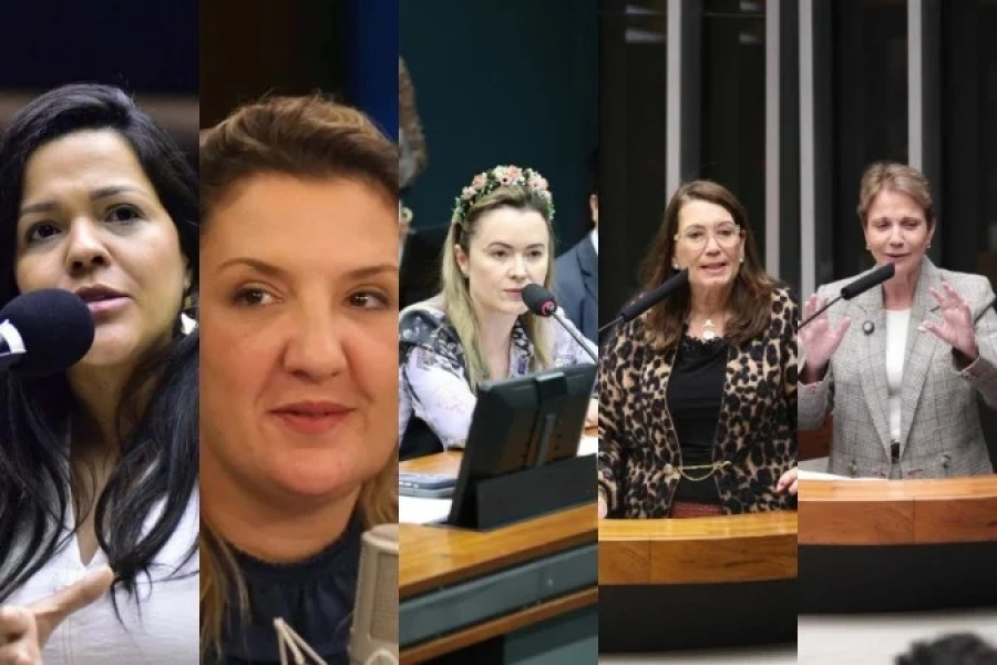 Veja as mulheres cotadas para vice de Flávio Bolsonaro